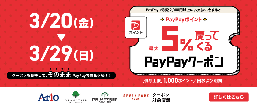 PayPayポイントクーポン企画