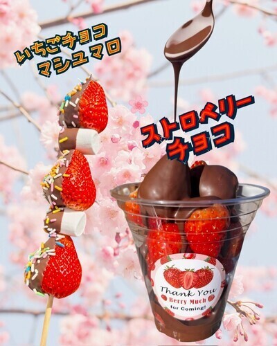 フリージアカフェ