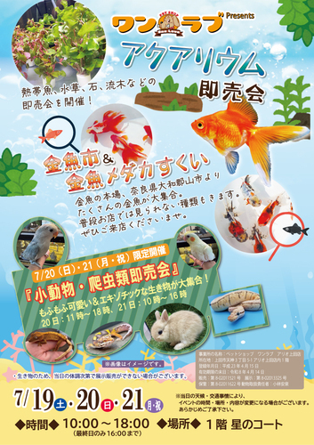ワンラブアクア