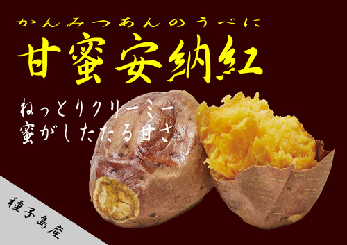 シフォンケーキ画像