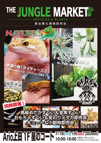 ワンラブ