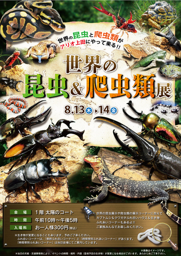 ポスター画像
