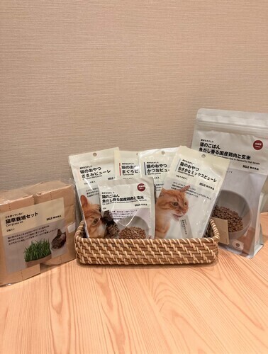 スタッフのおすすめ　～　愛猫とのおうち時間に　猫のご飯編　～