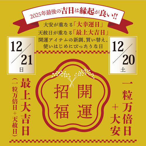 開運招来最上大吉日浄化チップ20％OFF