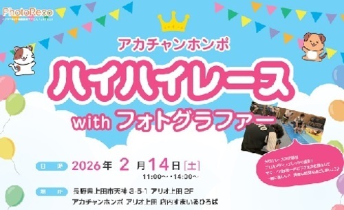 ハイハイレース