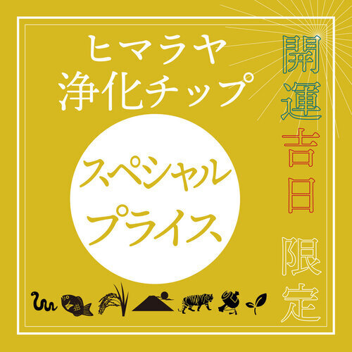 チップスペシャルプライス