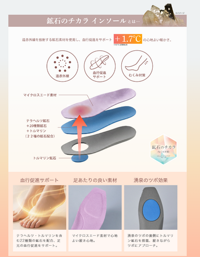 鉱石入インソール
